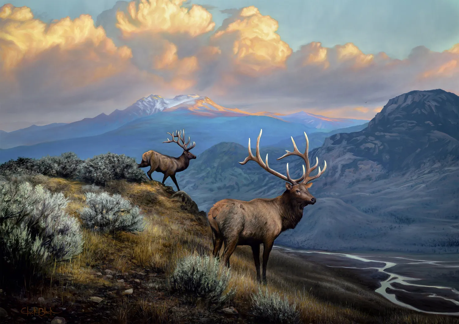 Buffalo Games Gold A Serene Stillness puslespil 500 brikker elge
