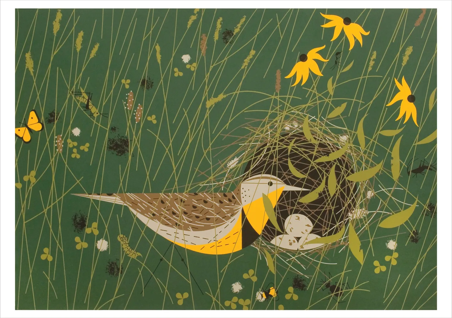 Pomegranate Charley Harper Nesting brevkort æske fugle