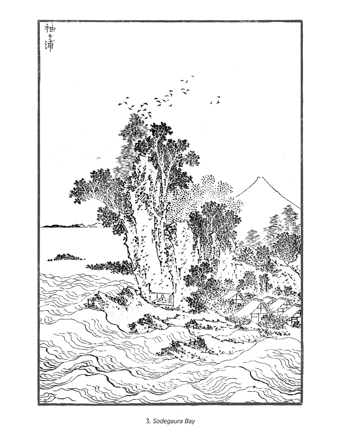 Pomegranate Hokusai Views of Mt. Fuji malebog landskab