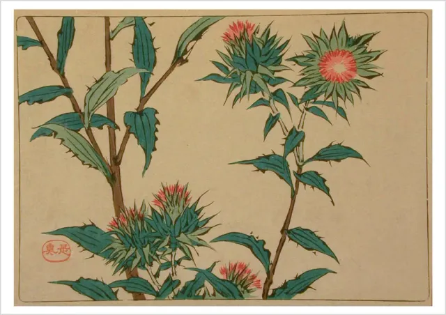 Pomegranate Shibata Zeshin Thistles kort japanske tidsler