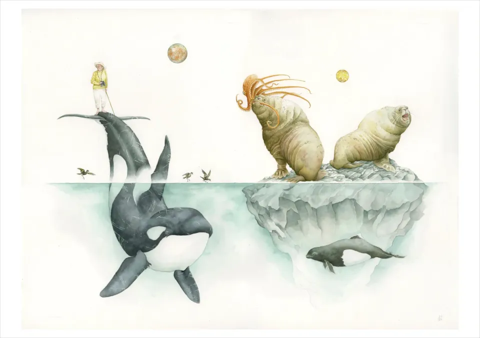 Pomegranate Paul Morstad Interstellar Sea Lions kort