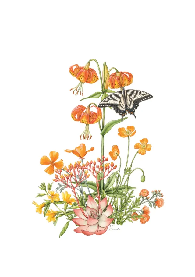 Erin E. Hunter Wildflowers in Orange fødselsdagskort enkelt