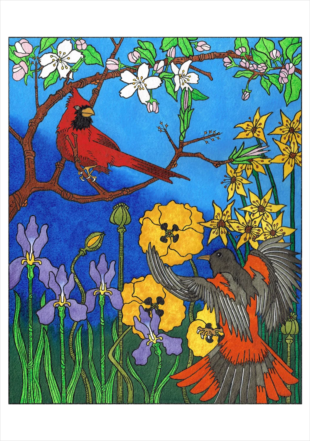 Pomegranate CJ Hurley Birds kortæske 20 kort fugle