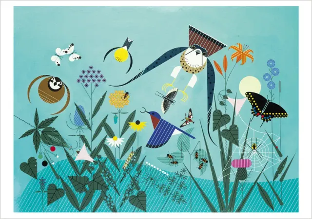 Charley Harper Summer enkeltkort have dyr