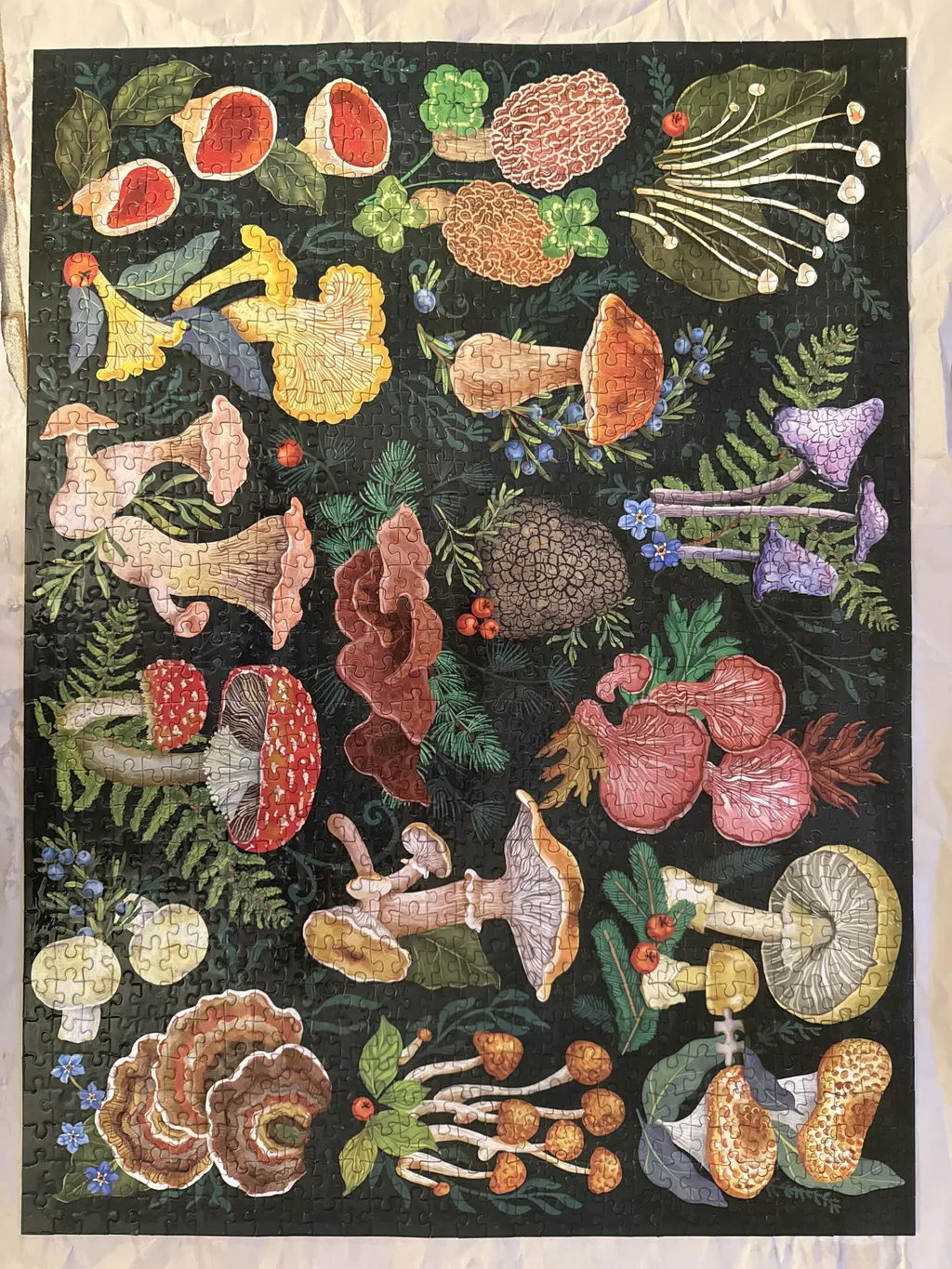 Good Puzzle Co. Mushrooms World of Mushrooms puslespil 1000 svampe