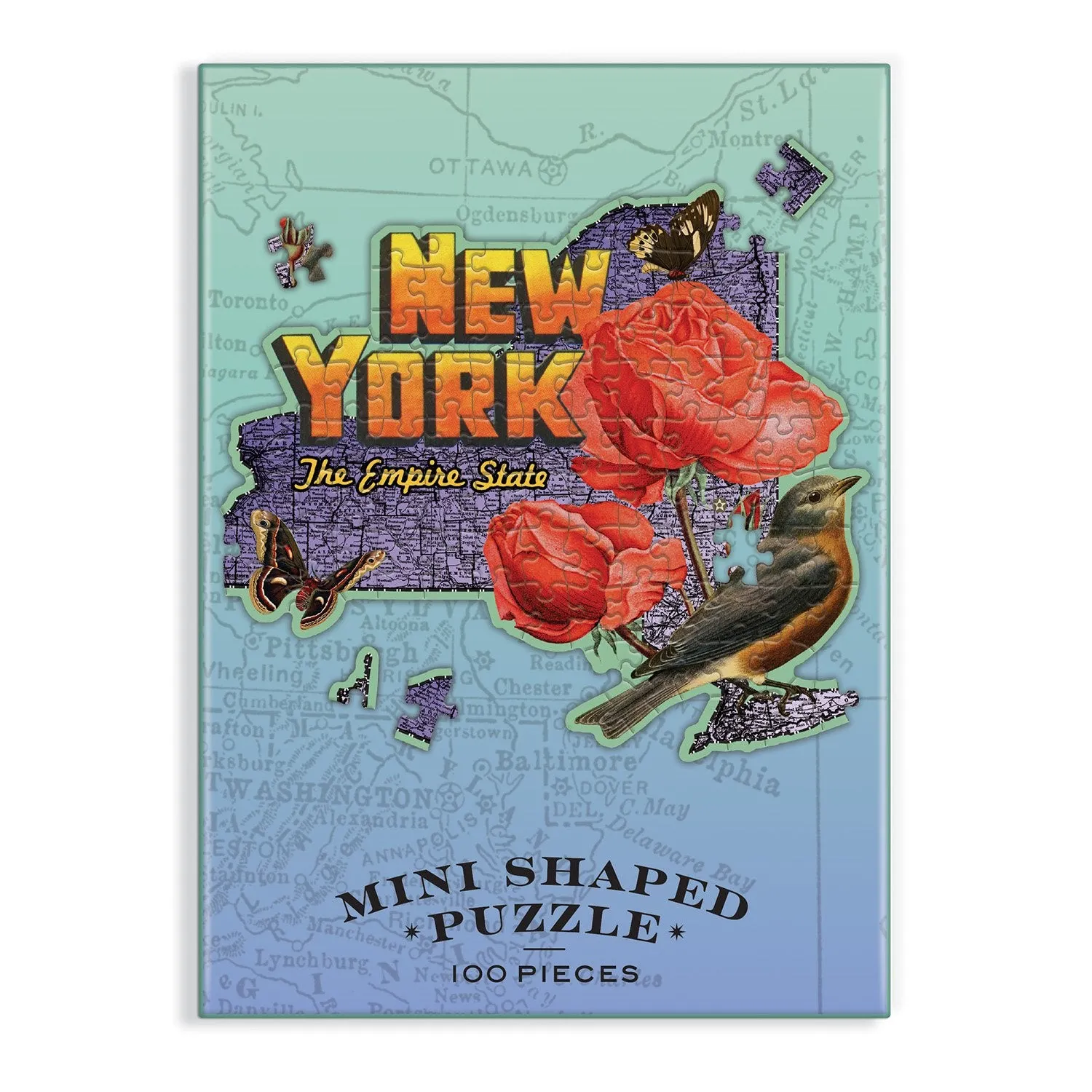 Good Puzzle Co. Wendy Gold New York Mini puslespil 100 brikker