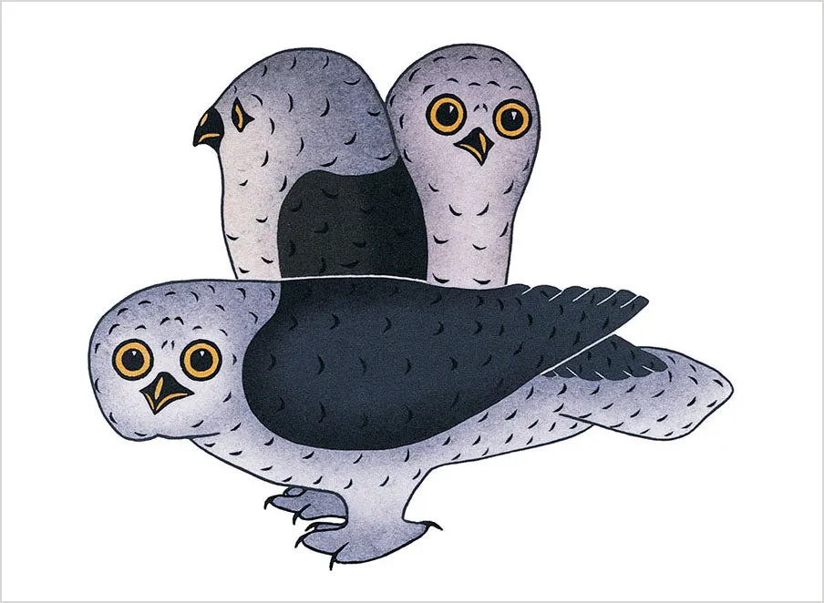 Inuit Art Birds postkortbog 30 fuglemotiver