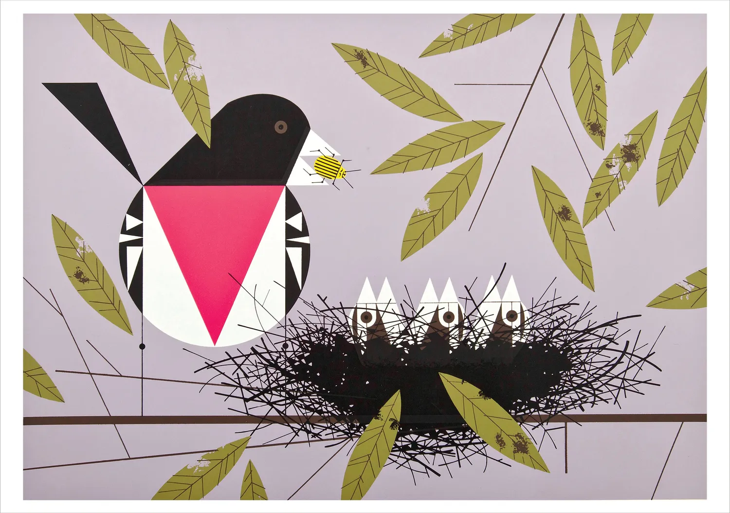 Pomegranate Charley Harper Nesting brevkort æske fugle