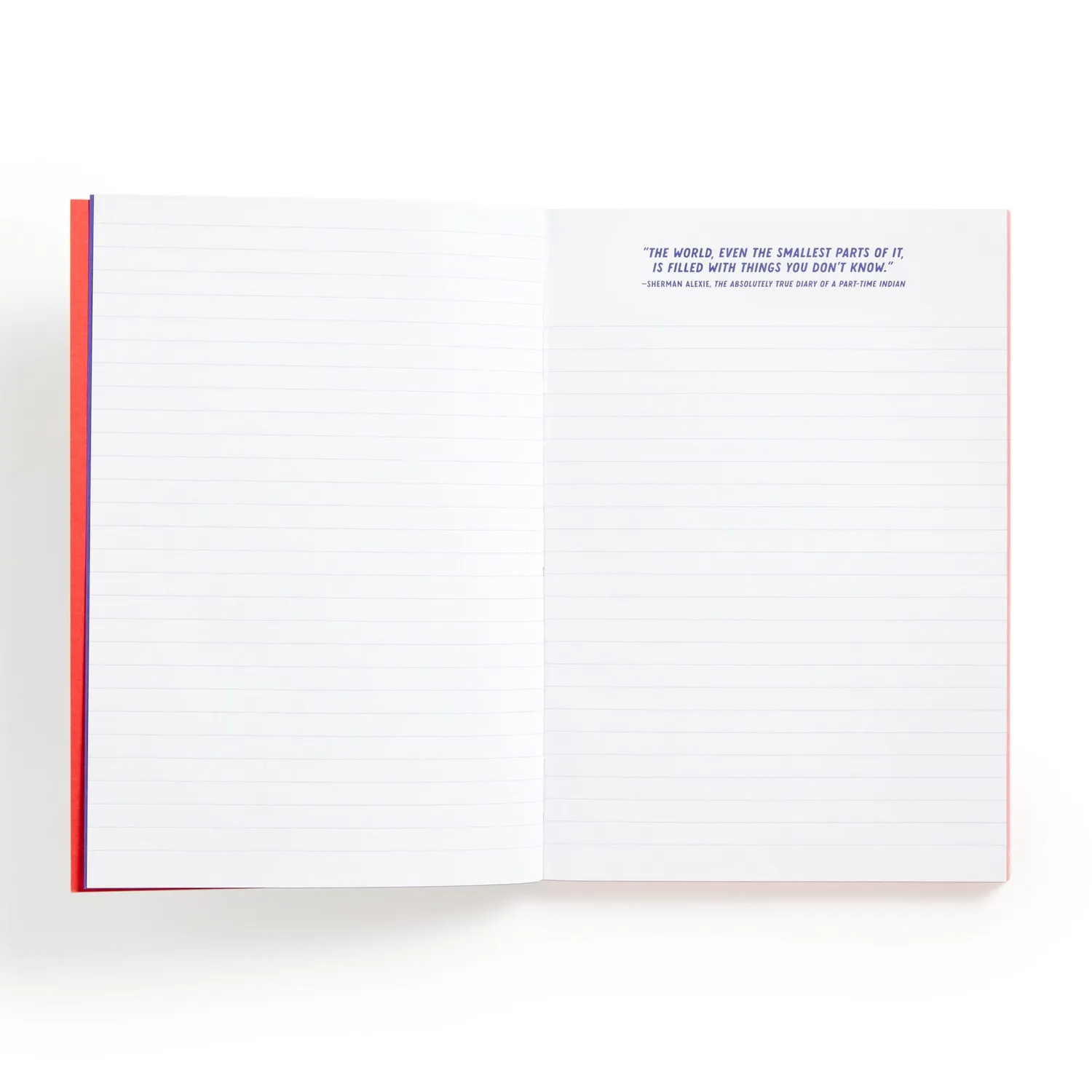 Good Puzzle Co. I Read Banned Books journal A5 linjeret