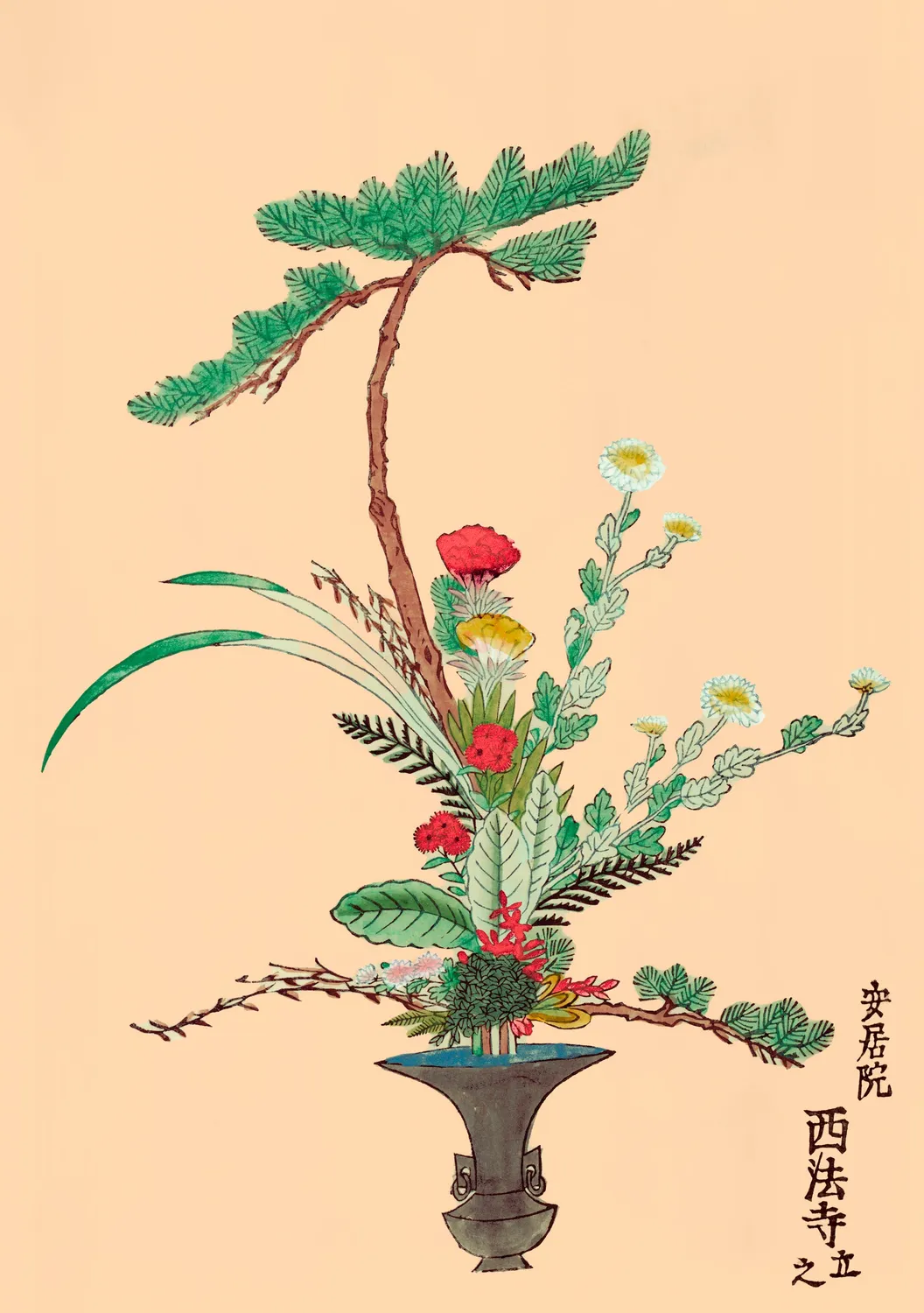 Pomegranate Rikka japanske blomster kortæske 20 stk