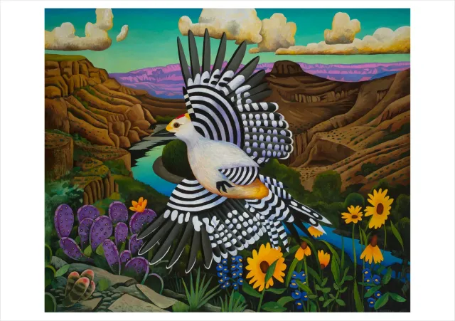 Pomegranate Billy Hassell Crossing brevkort fugle