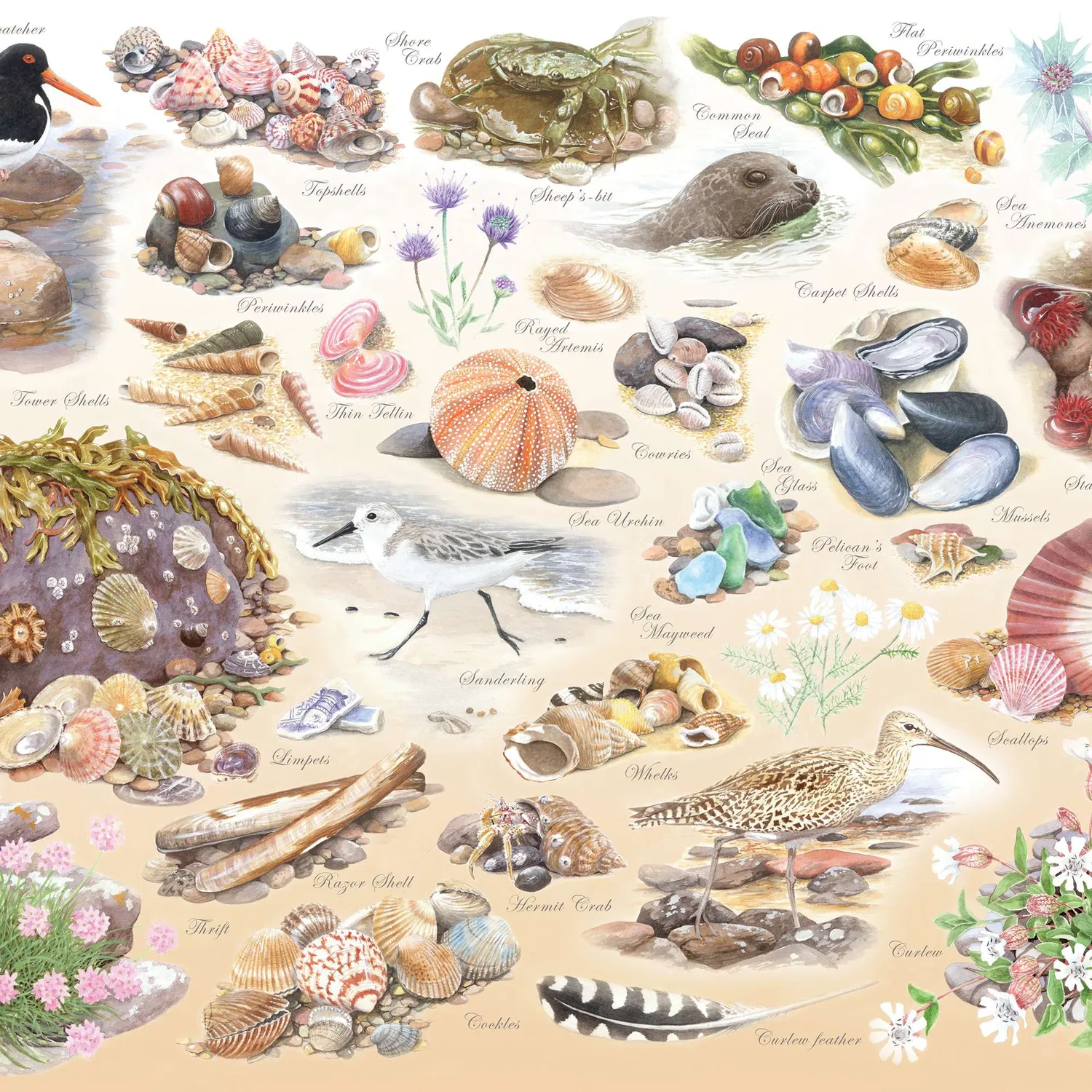 House of Puzzles BIG Sea Shore puslespil 500 brikker strand dyr