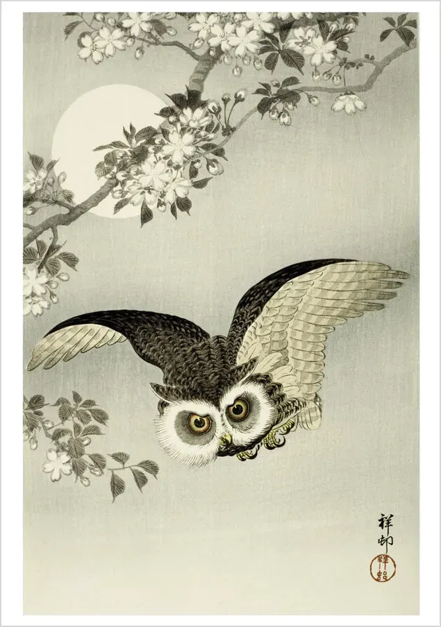 Pomegranate Ohara Koson Scops Owl kort enkelt ugle