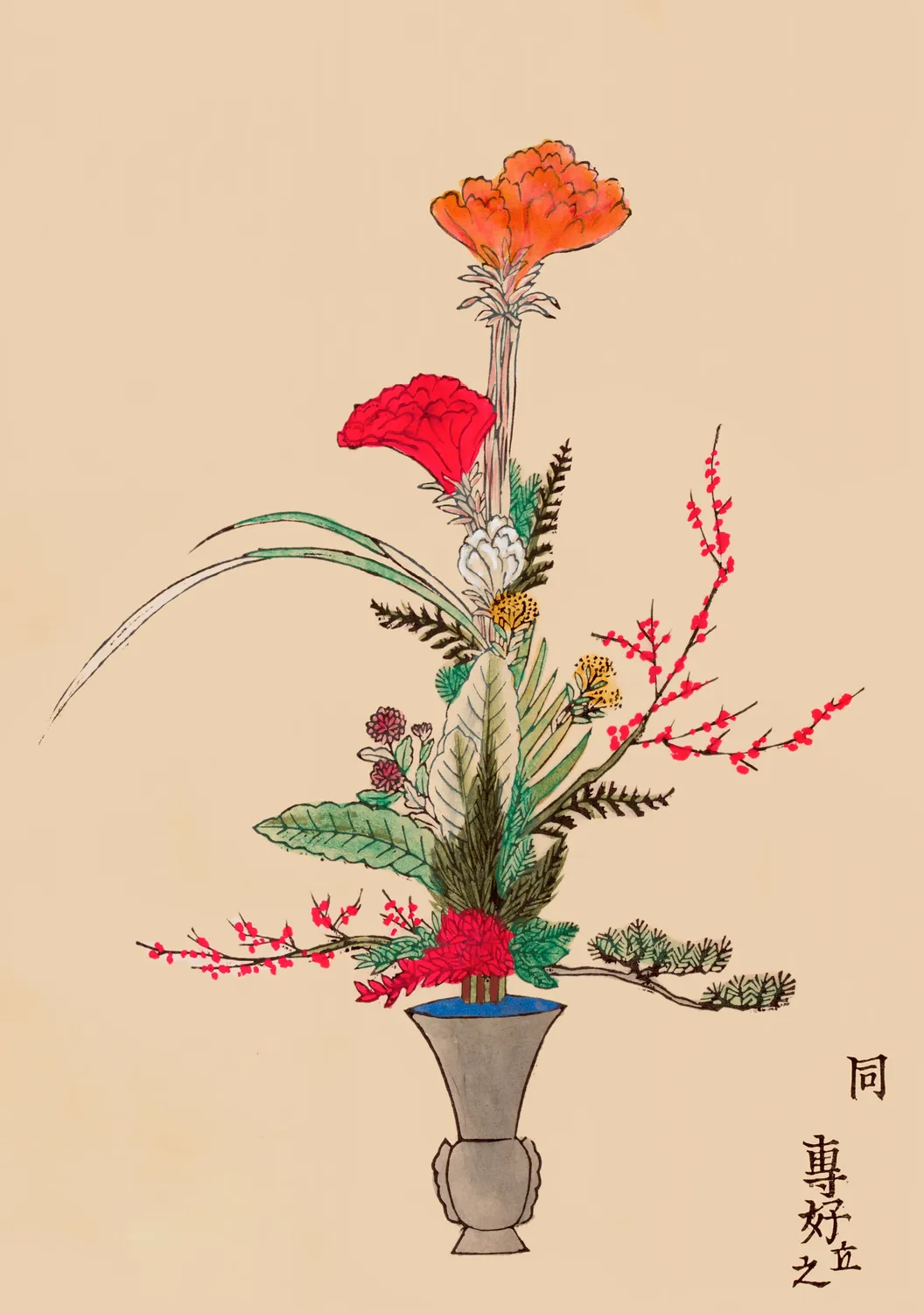 Pomegranate Rikka japanske blomster kortæske 20 stk