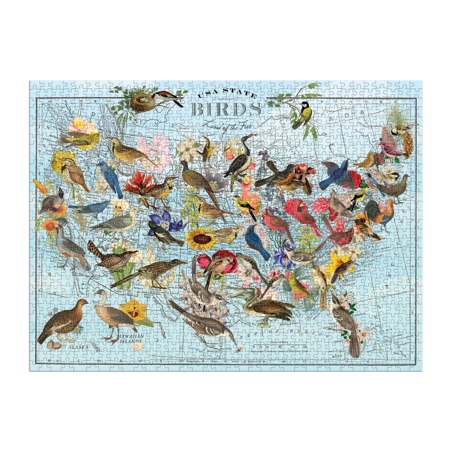 Good Puzzle Co. Wendy Gold State Birds 1000 puslespil fugle