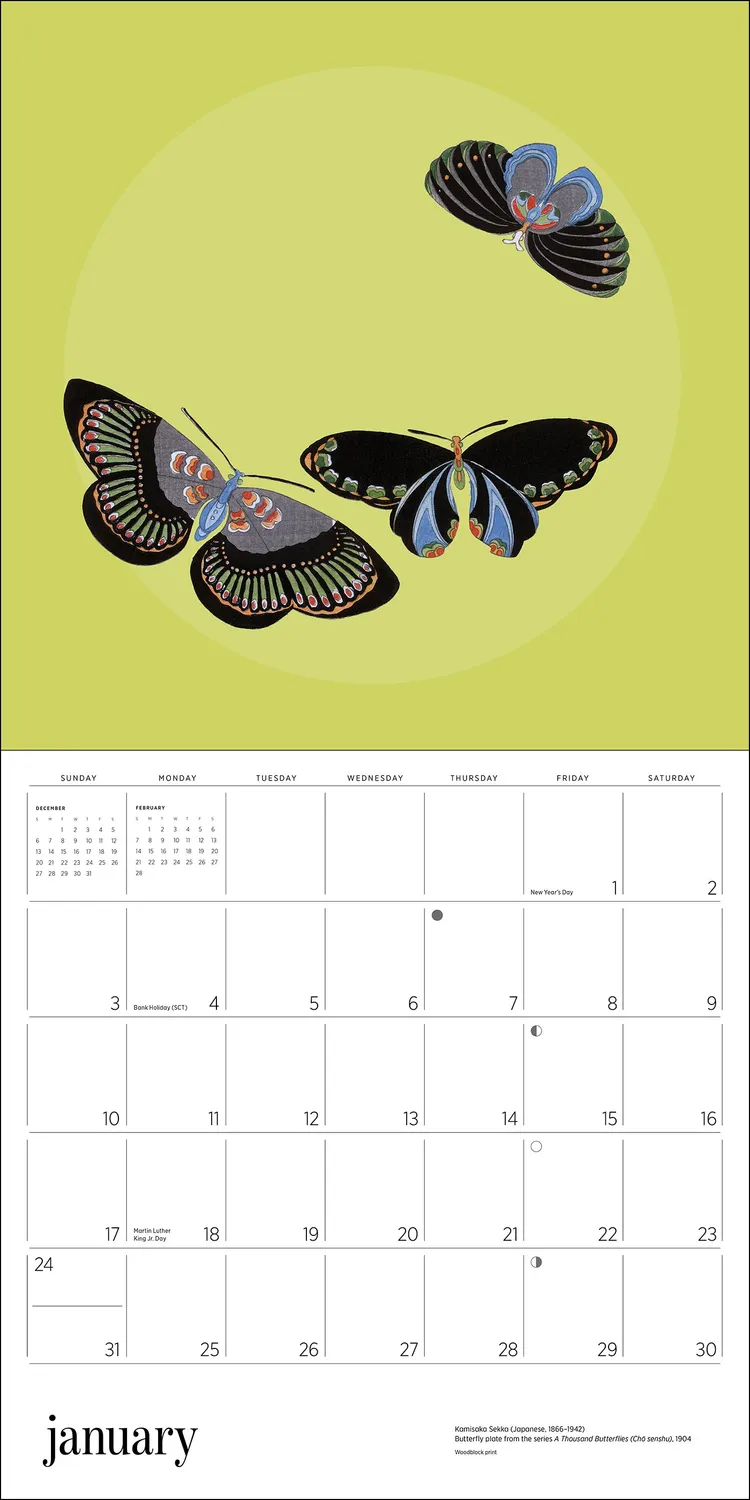 Pomegranate Butterflies vægkalender 2027 sommerfugle