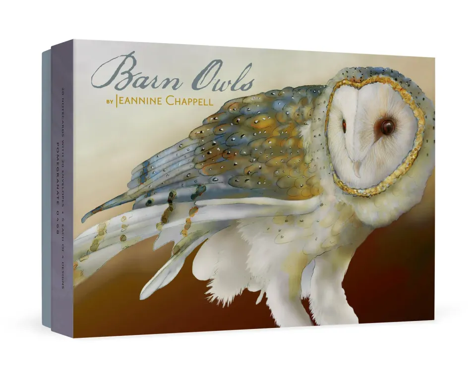 Pomegranate Barn Owls kortæske 20 brevkort uglemotiv