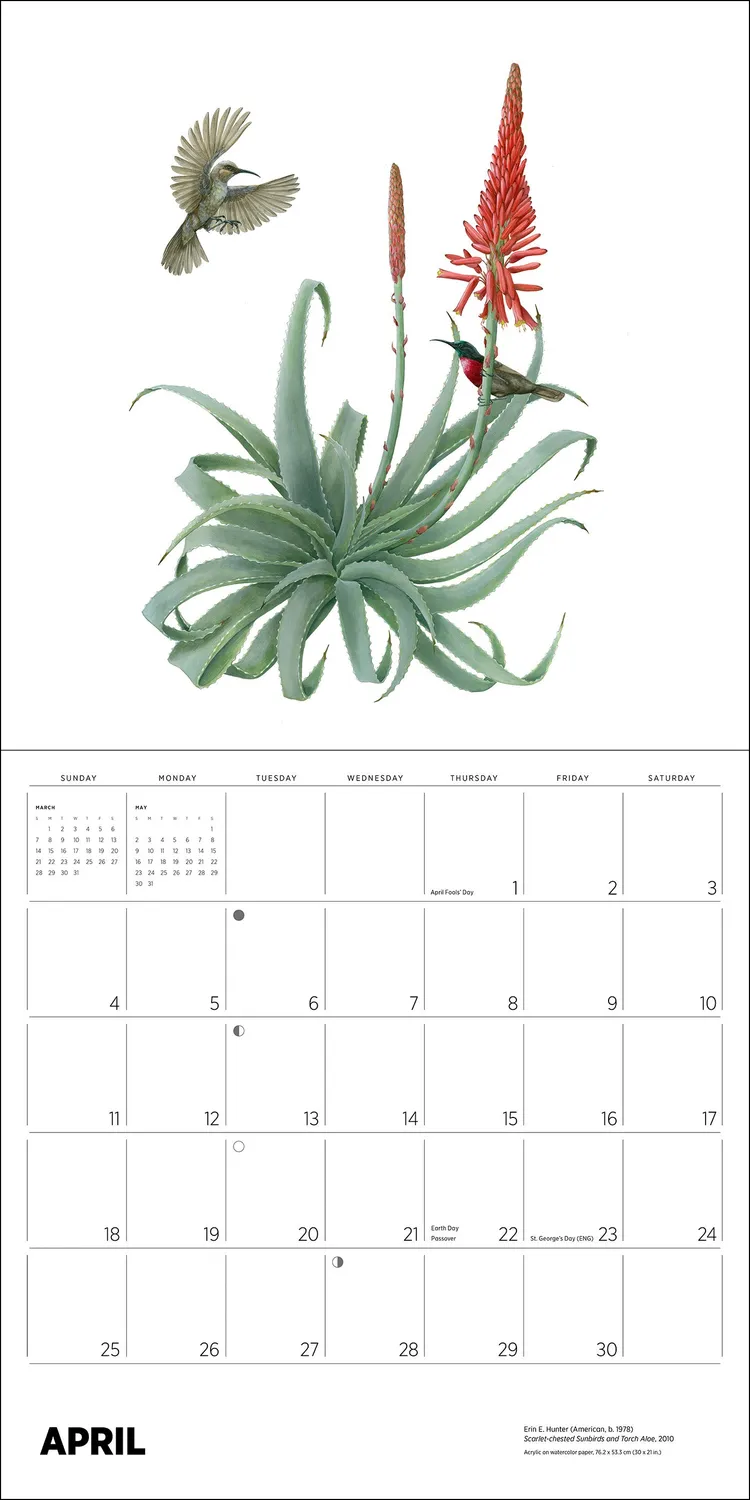 Erin E Hunter Pollinators vægkalender 2027 insekter