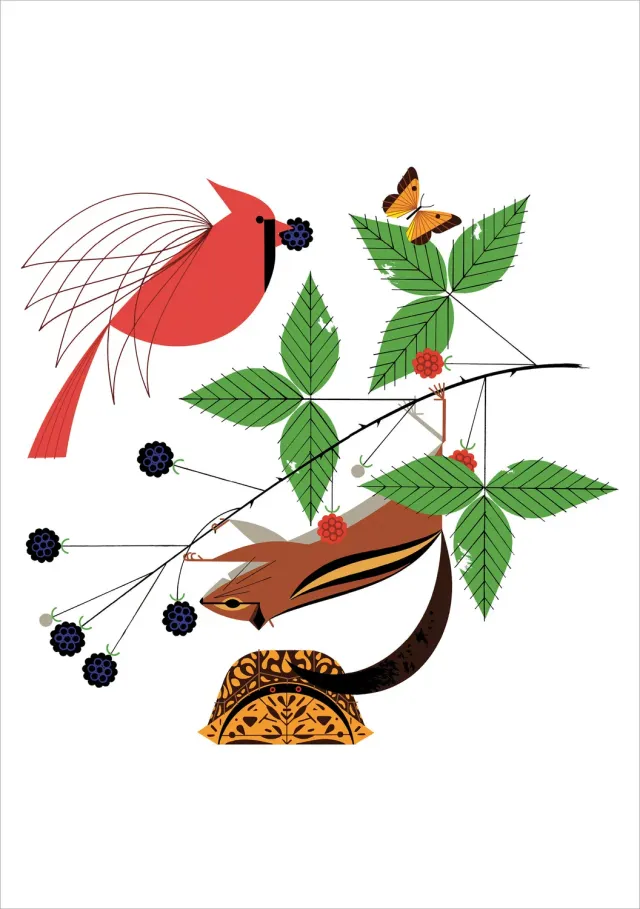 Pomegranate Charley Harper A Good World kort enkelt dyr