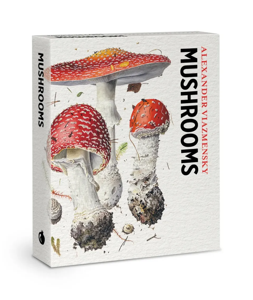Pomegranate Viazmensky Mushrooms videnskort 48 stk