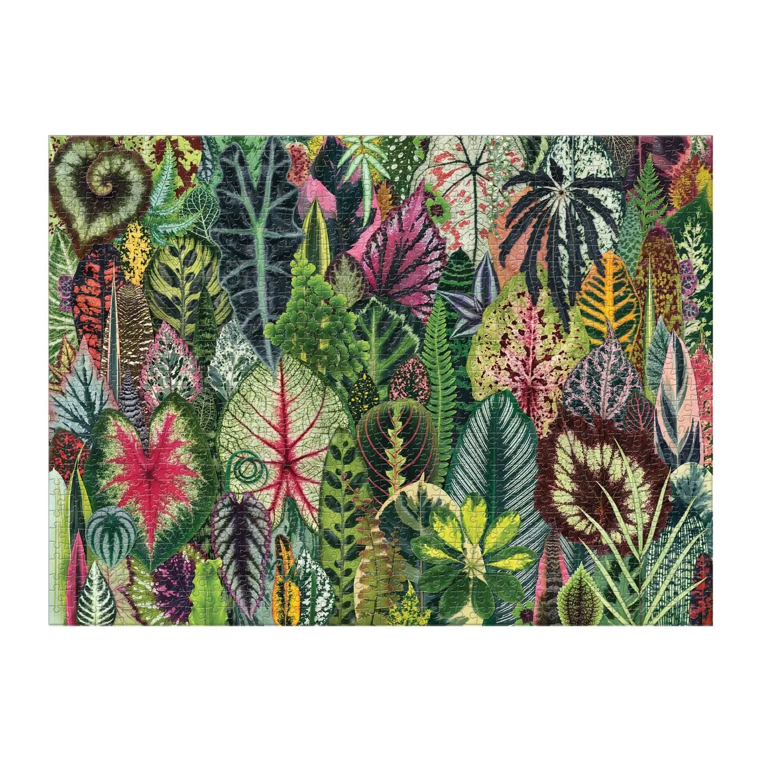 Galison Troy Litten Houseplant Jungle puslespil 1000 brikker blade