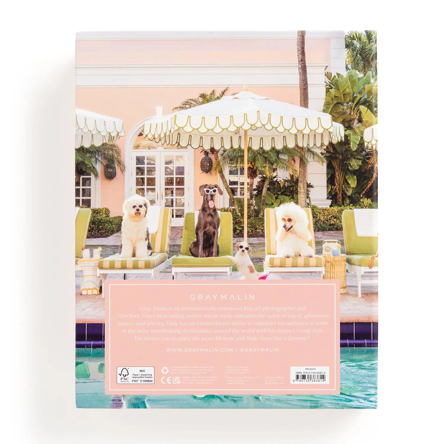 Gray Malin Pool Day Palm Beach puslespil 1000 brikker hunde