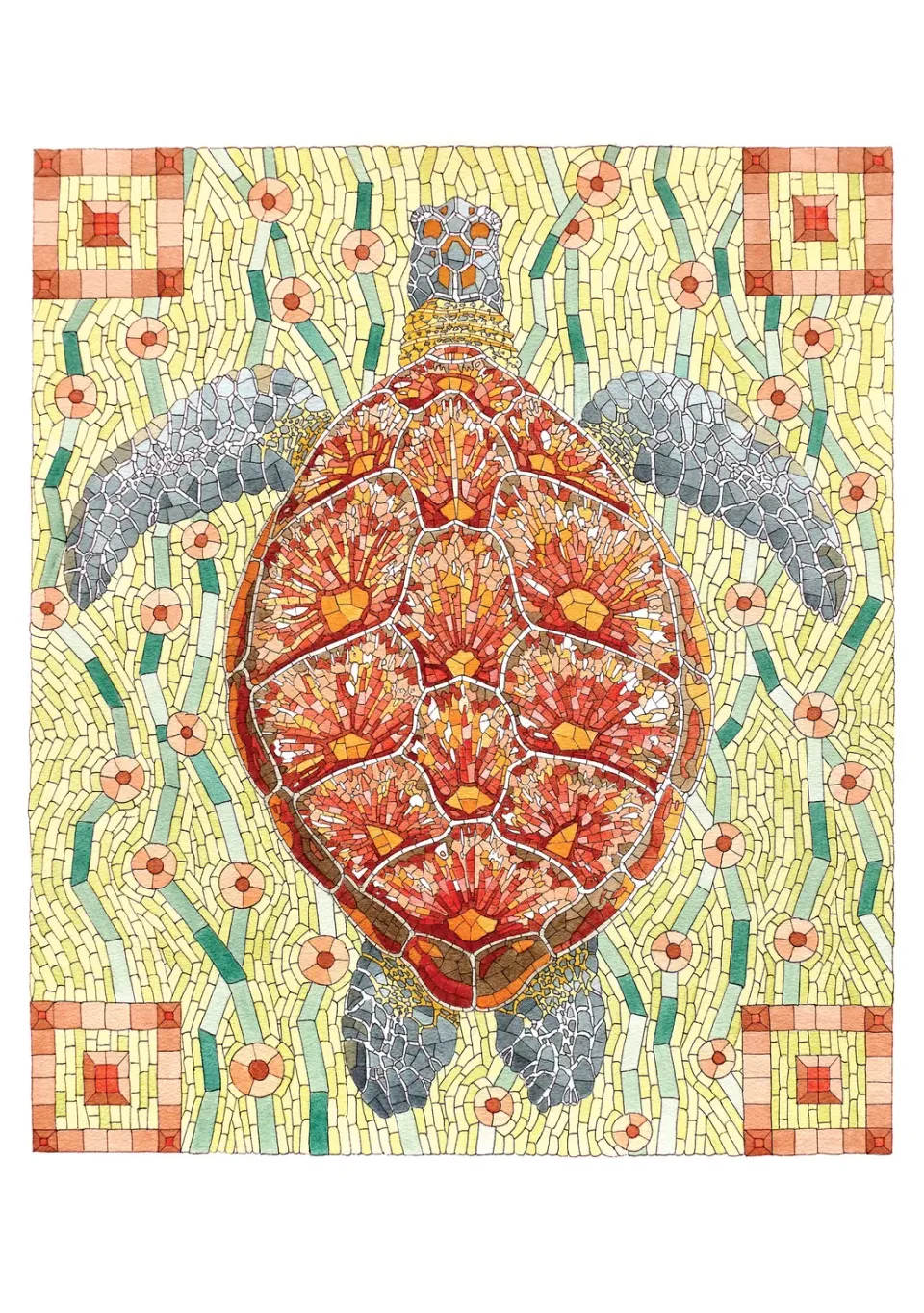 Pomegranate David Cohen Sea Turtle kort enkelt dyr