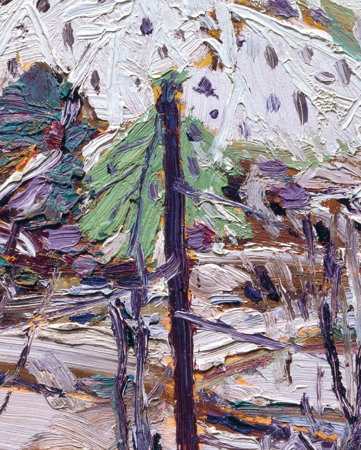 Pomegranate Tom Thomson Snow in the Woods bogmærke