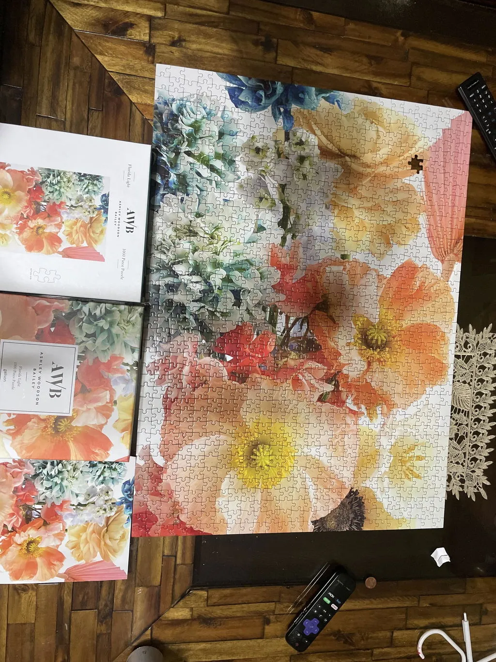 Good Puzzle Co. Ashley Woodson Bailey Florida Light puslespil
