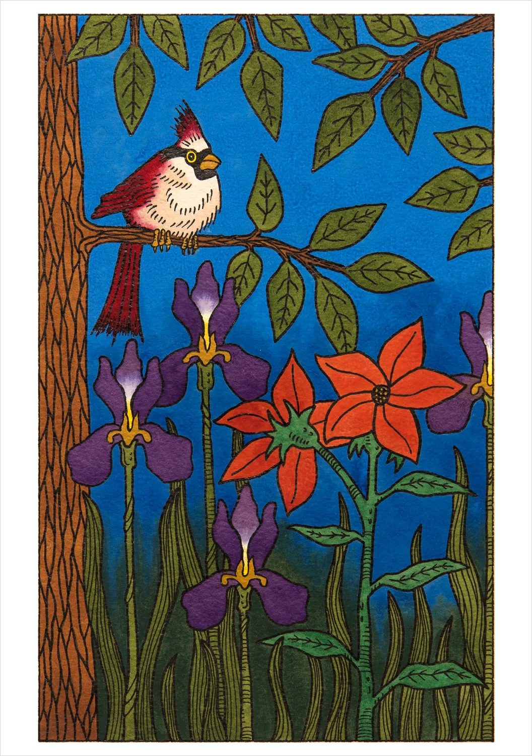 Pomegranate CJ Hurley Birds kortæske 20 kort fugle