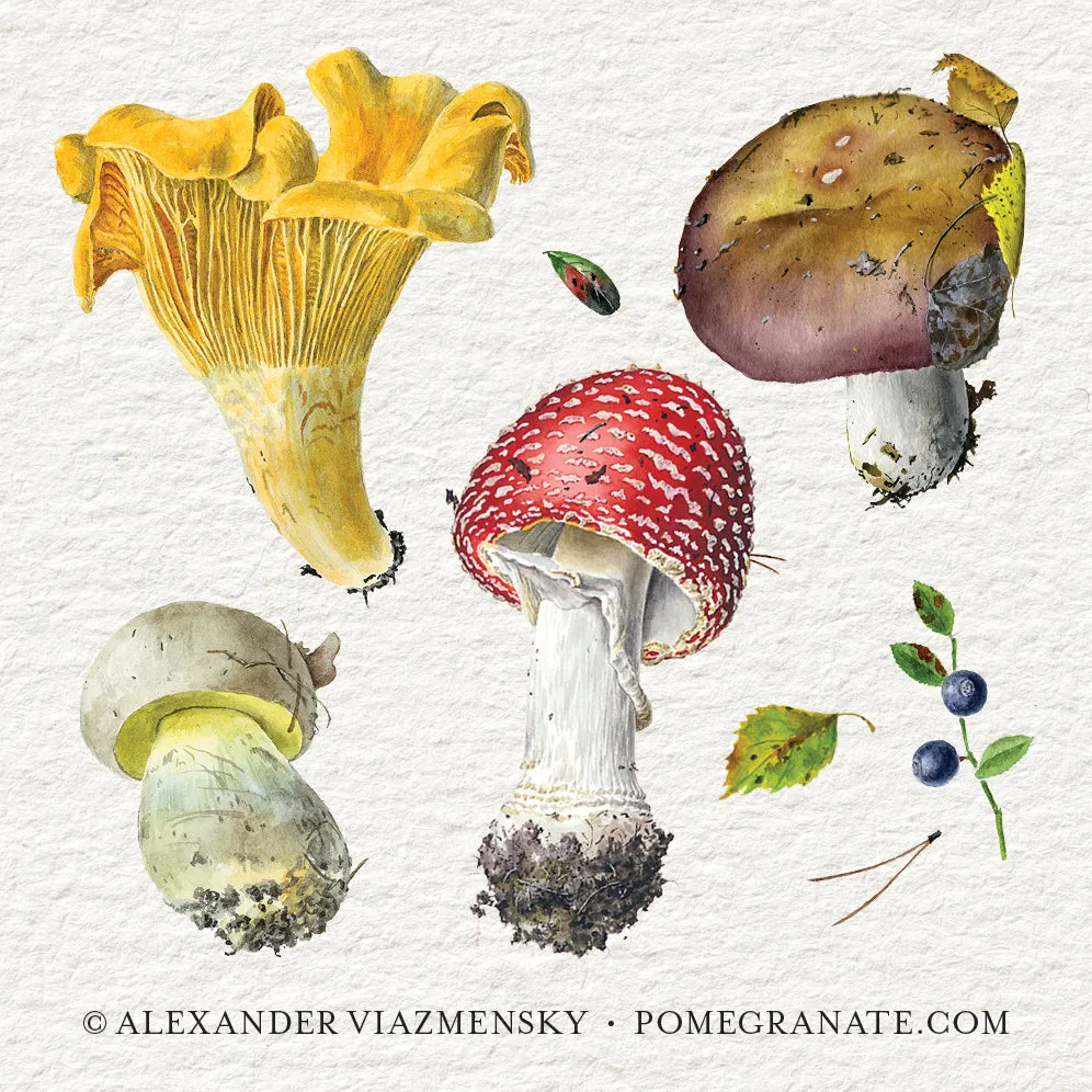 Pomegranate Mushrooms Viazmensky huskespil 36 par svampe