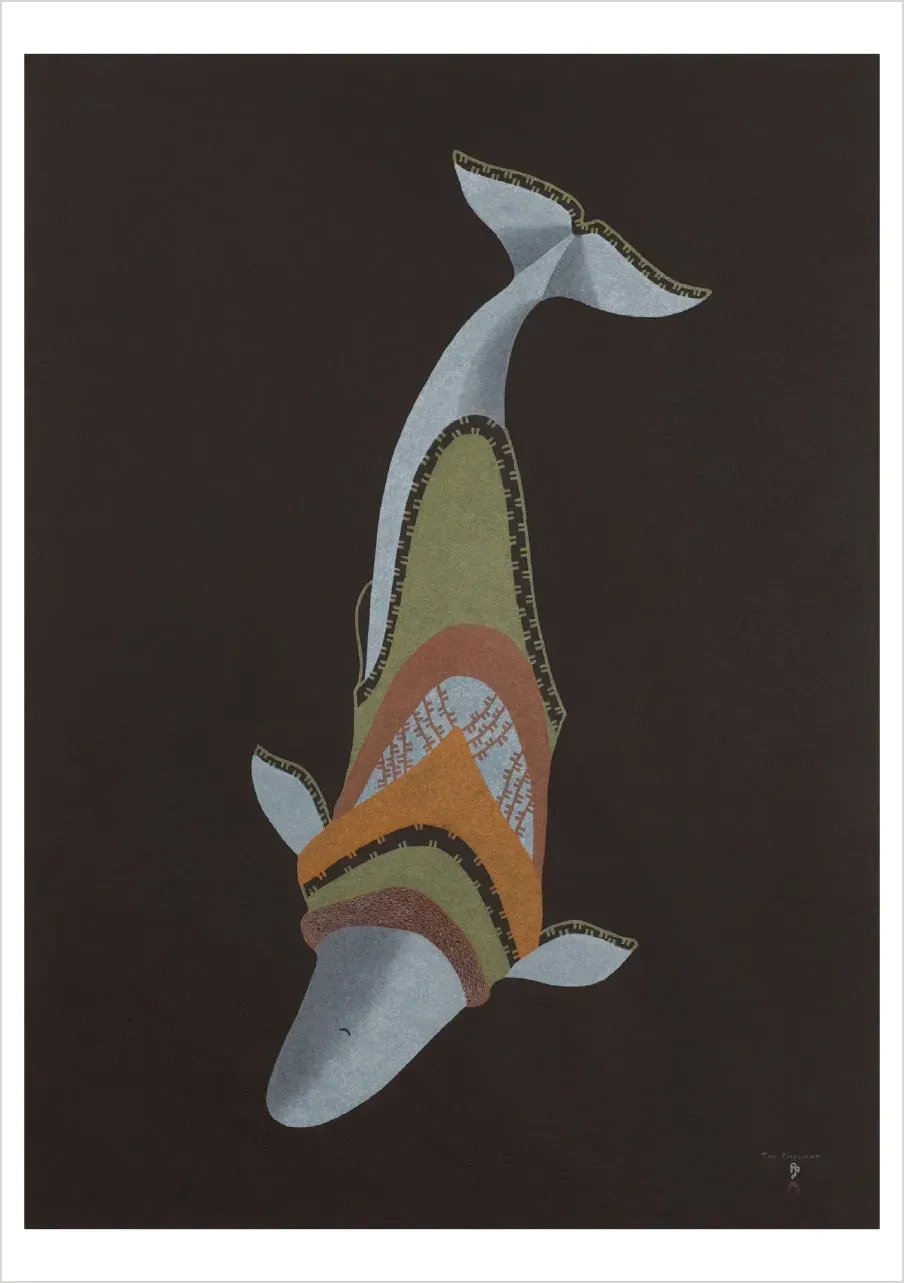 Pomegranate Tim Pitsiulak Whale Sounding brevkort hval