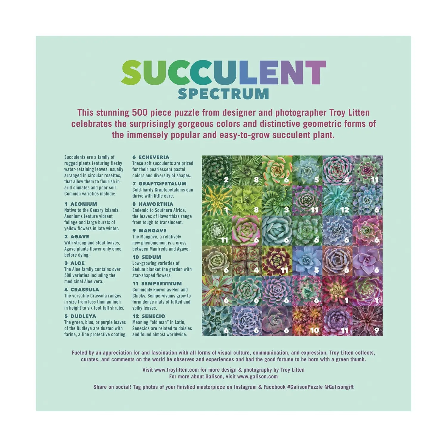 Galison Litten Succulent Spectrum 500 puslespil 500 brikker farver