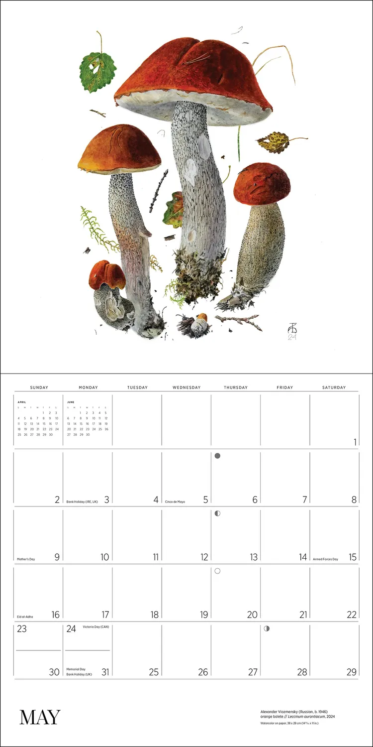 Pomegranate Mushrooms Alexander Viazmensky 2027 vægkalender svampe