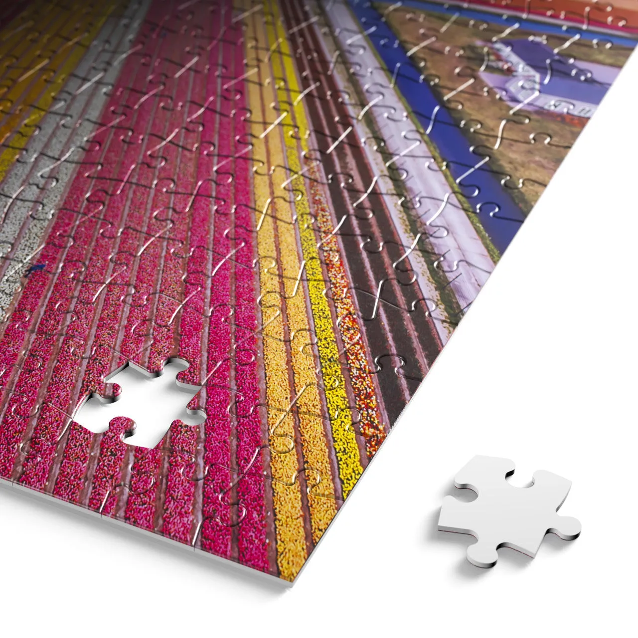 Buffalo Games Blanc Infinity Fields of the Netherlands 1000 puslespil Holland