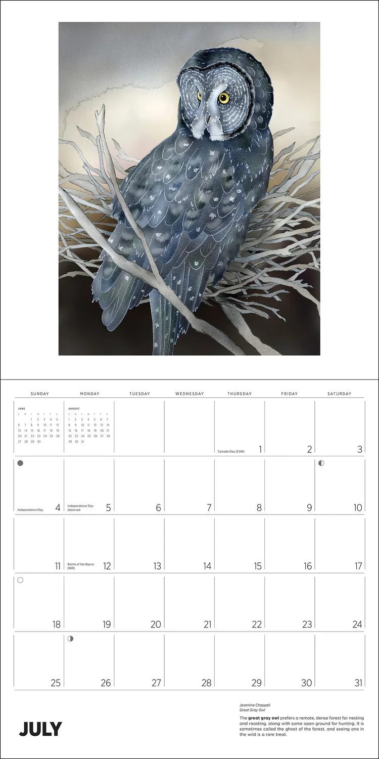 Pomegranate Owls Jeannine Chappell 2027 vægkalender ugler