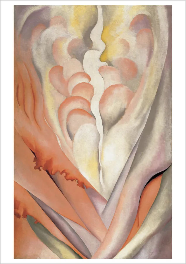 Pomegranate Georgia O'Keeffe Abstract Flowers kortæske 20 kort blomster