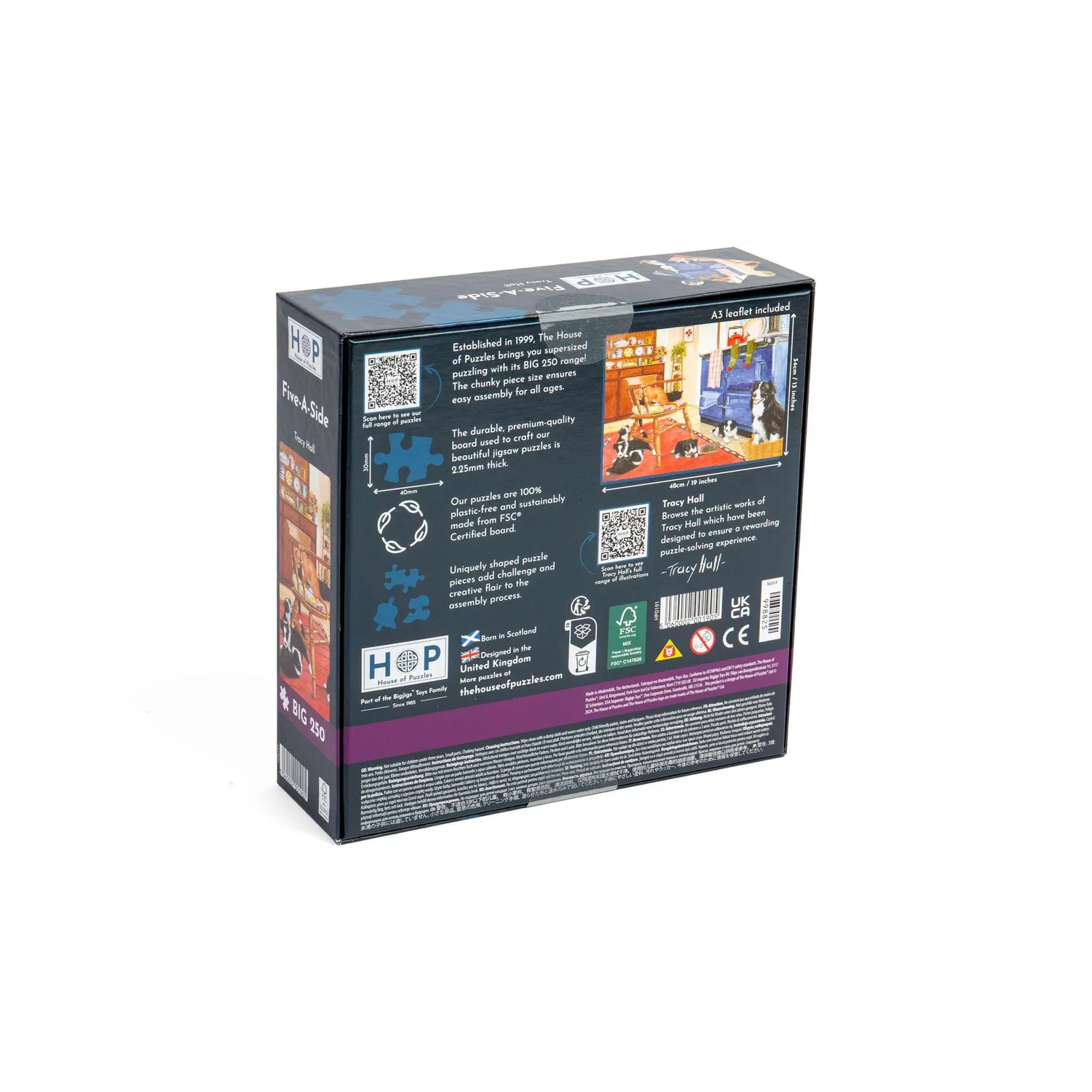House of Puzzles BIG Five-A-Side puslespil 250 brikker XL