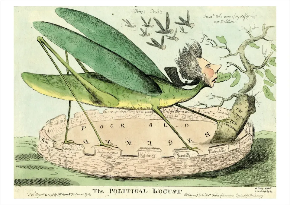 Pomegranate The Political Locust 1795 postkort historisk