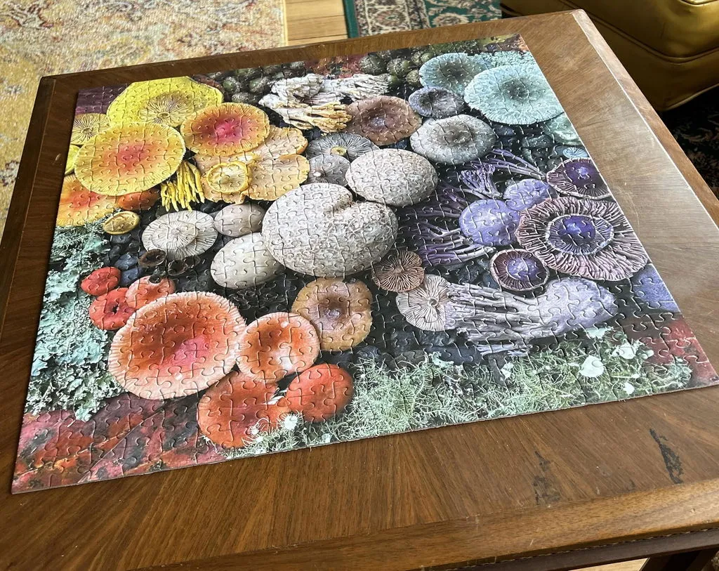 Good Puzzle Co. Shrooms in Bloom puslespil 500 brikker svampe