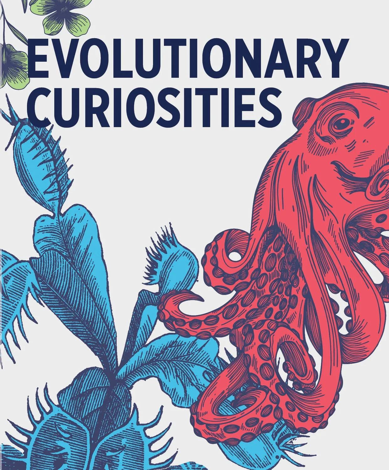 Pomegranate Evolutionary Curiosities videnskort 48 kort natur