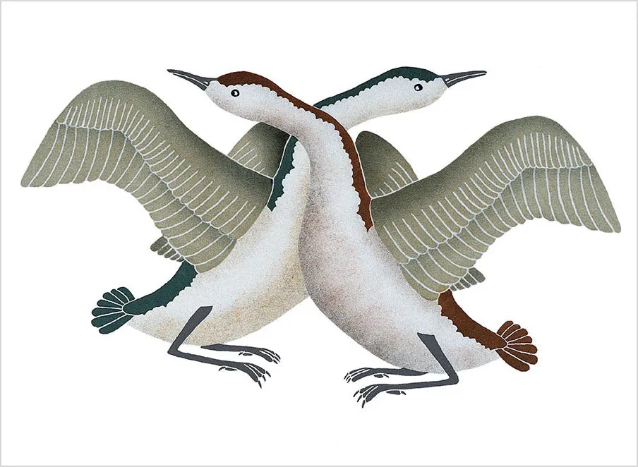 Inuit Art Birds postkortbog 30 fuglemotiver