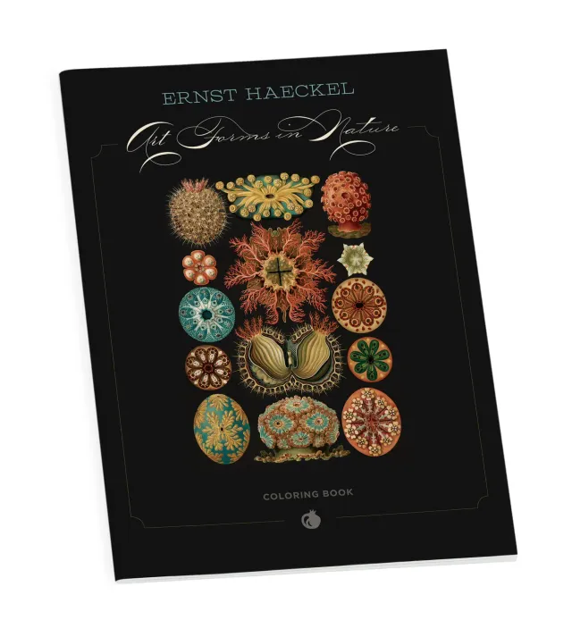 Pomegranate Haeckel Art Forms in Nature malebog natur