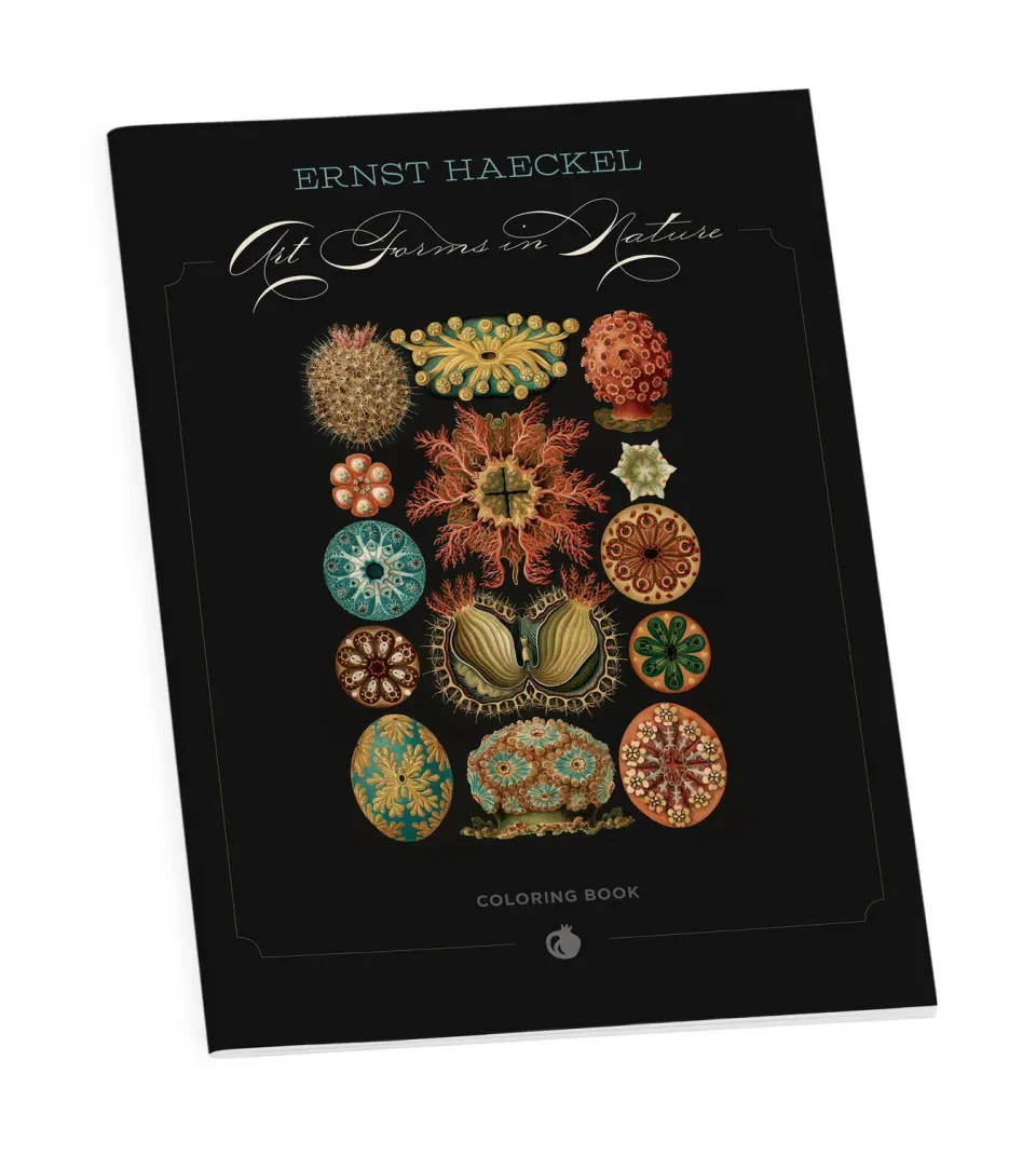 Pomegranate Haeckel Art Forms in Nature malebog natur