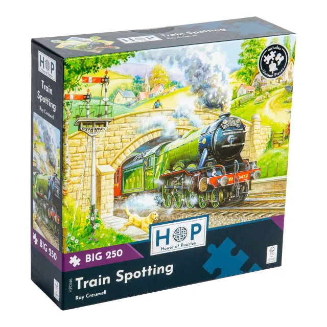 House of Puzzles Train Spotting BIG puslespil 250 store brikker