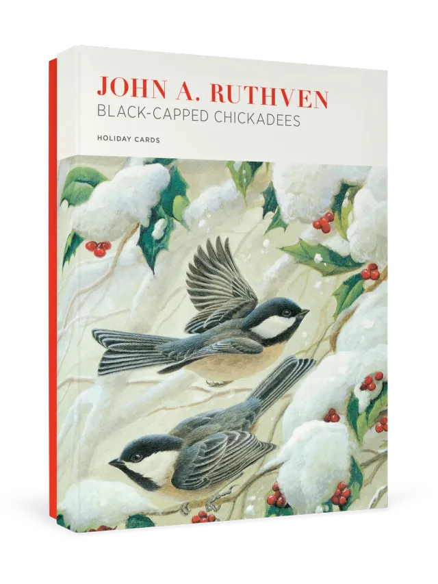 Pomegranate John Ruthven Black Capped Chickadees julekort fugle