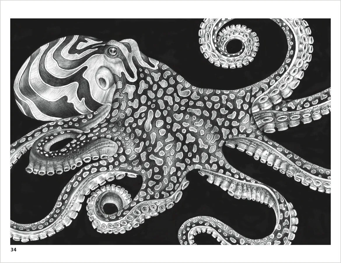 Pomegranate Intricate Ink Animals in Detail malebog dyr