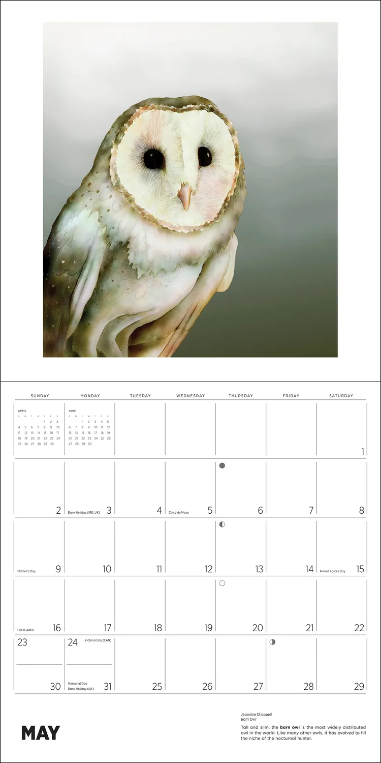Pomegranate Owls Jeannine Chappell 2027 vægkalender ugler
