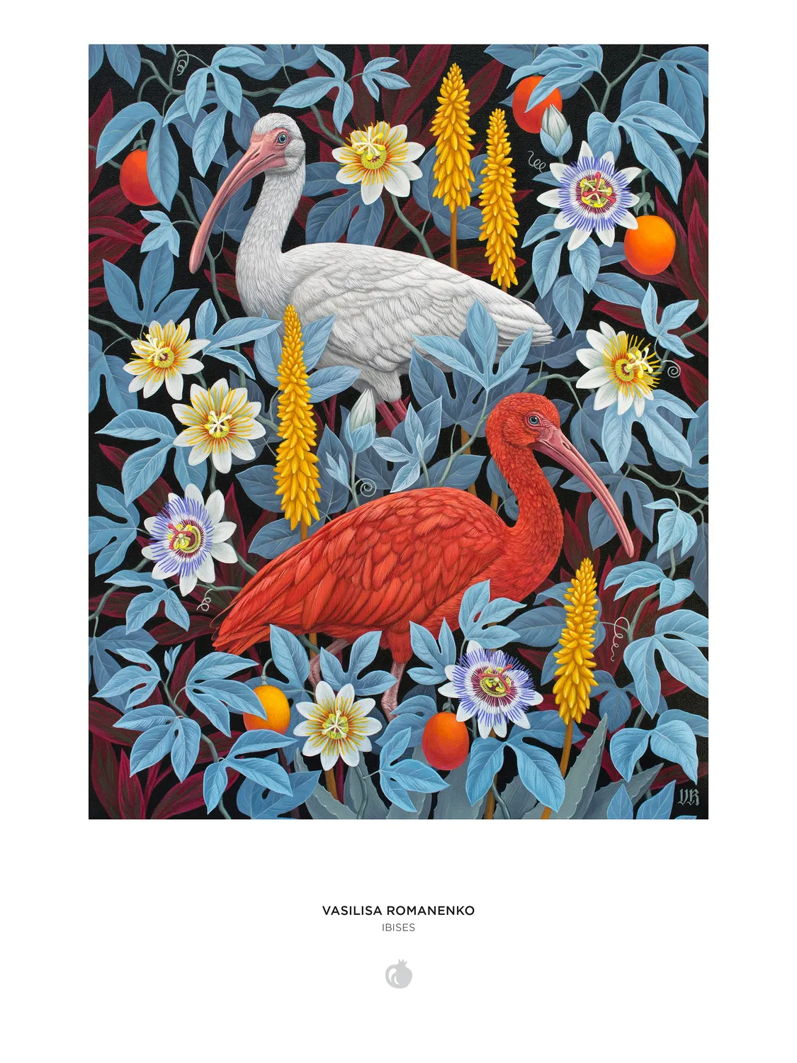 Pomegranate Vasilisa Romanenko Ibises puslespil 1000 brikker