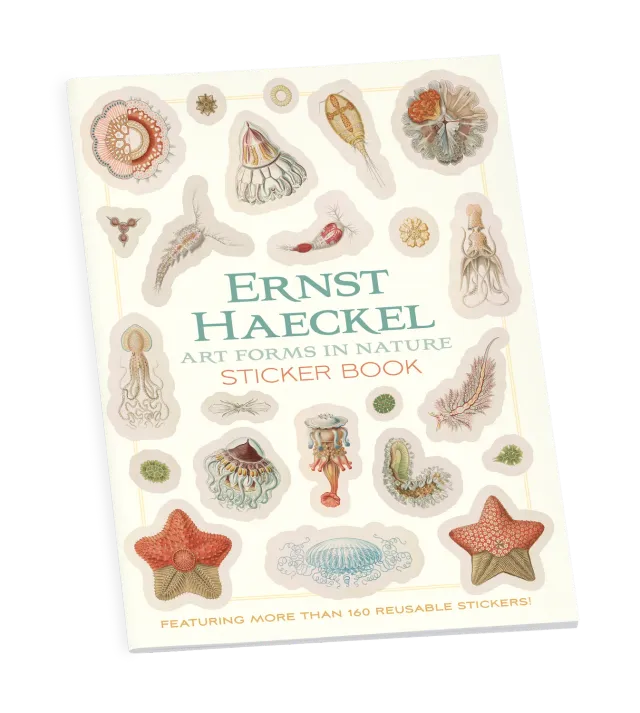 Pomegranate Ernst Haeckel Art Forms in Nature klistermærkebog hav
